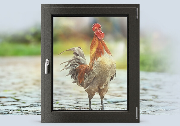 Fenster-Aktion
